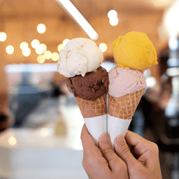 Double Scoop Ice Cream